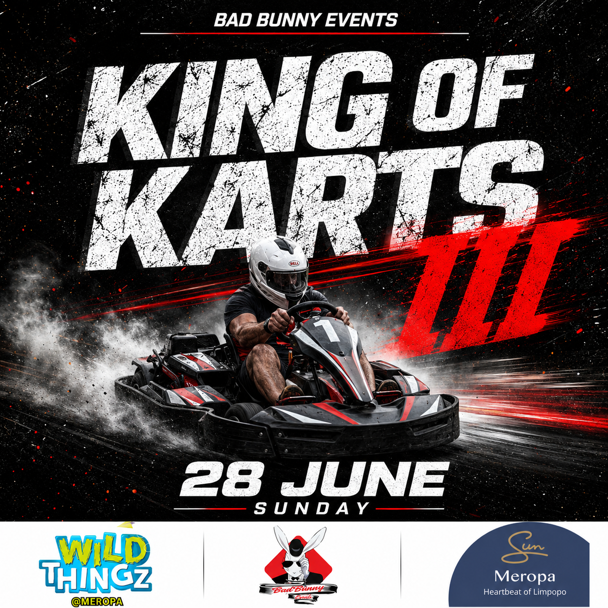 King of Karts 3 - Driver Entry