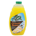 Carnauba Shampoo