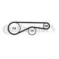 Brand new VW/AUDI OEM timing belt (toothed belt)-057 109 119 L
